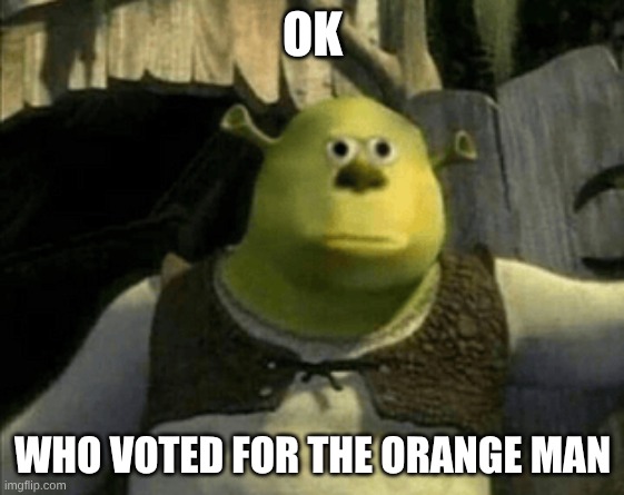 Why did we vote for a literal orange | OK; WHO VOTED FOR THE ORANGE MAN | made w/ Imgflip meme maker