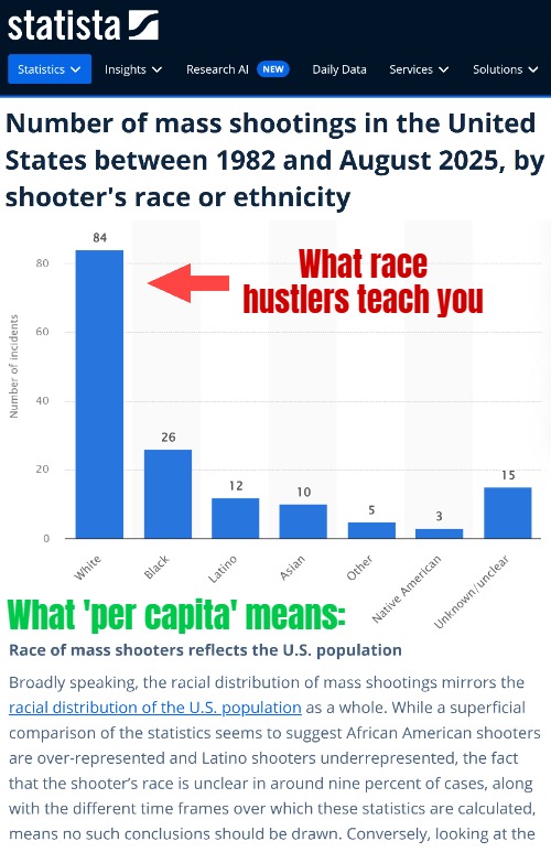 Lesson in basic demographic statistics | What race hustlers teach you; What 'per capita' means: | image tagged in race,mass shootings,statistics,science,politics | made w/ Imgflip meme maker