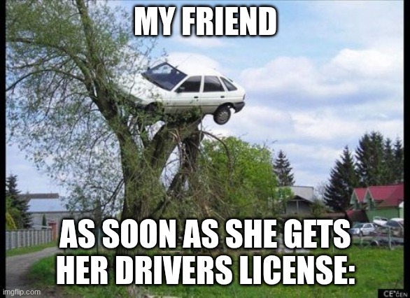 Im scared for when they get a drivers licence | MY FRIEND; AS SOON AS SHE GETS HER DRIVERS LICENSE: | image tagged in memes,secure parking,car | made w/ Imgflip meme maker