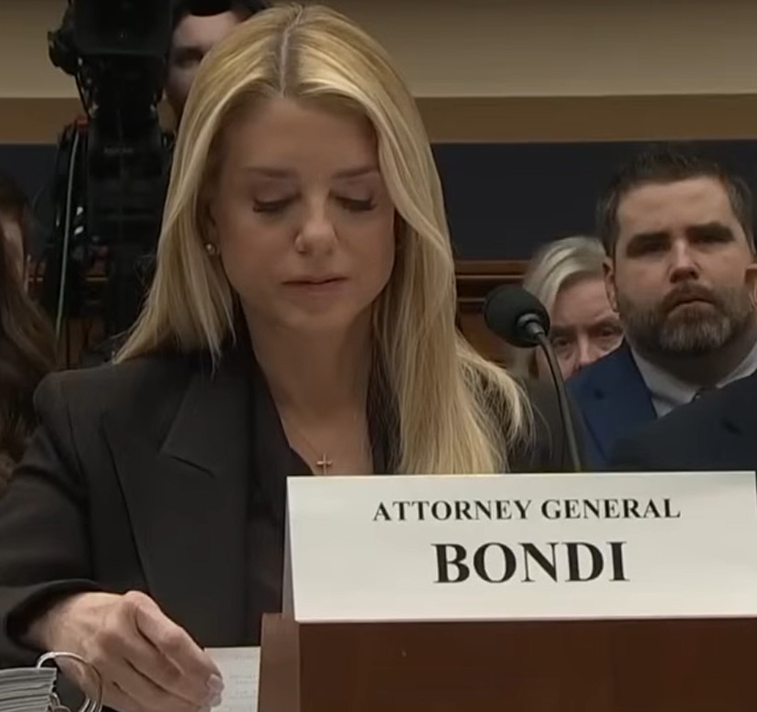 SHAME Blank Meme Template