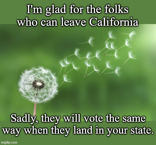 I have seen this, I live in Oregon. | I'm glad for the folks who can leave California; Sadly, they will vote the same way when they land in your state. | image tagged in dandelion | made w/ Imgflip meme maker