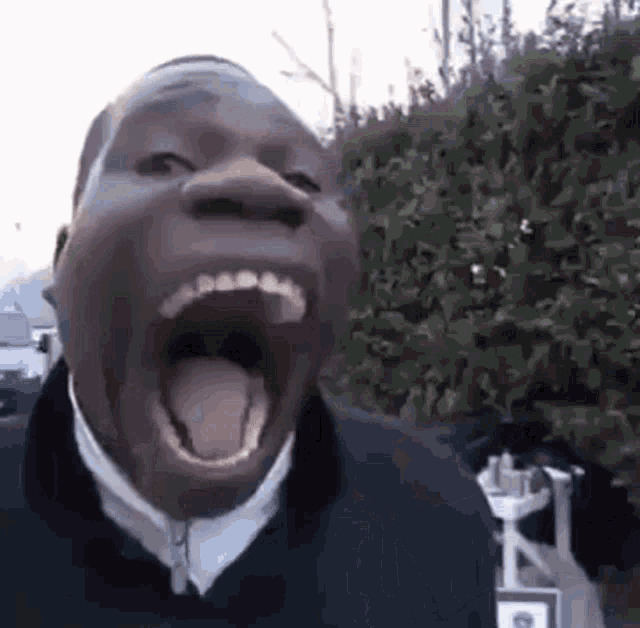 Big Mouth Screaming Blank Meme Template