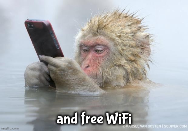 monkey mobile phone | and free WiFi | image tagged in monkey mobile phone | made w/ Imgflip meme maker