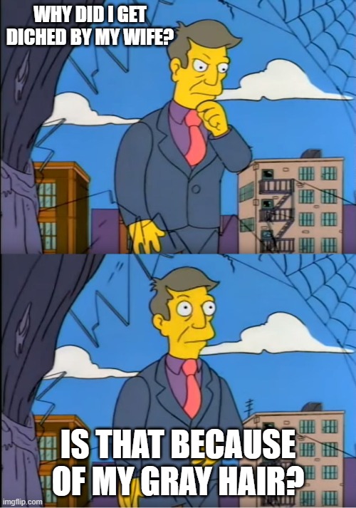 Skinner Out Of Touch | WHY DID I GET DICHED BY MY WIFE? IS THAT BECAUSE OF MY GRAY HAIR? | image tagged in skinner out of touch | made w/ Imgflip meme maker