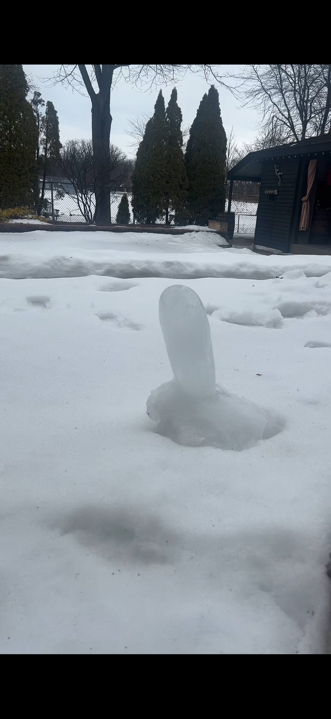 Ice dick Blank Meme Template