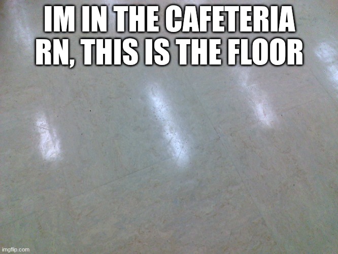 IM IN THE CAFETERIA RN, THIS IS THE FLOOR | made w/ Imgflip meme maker