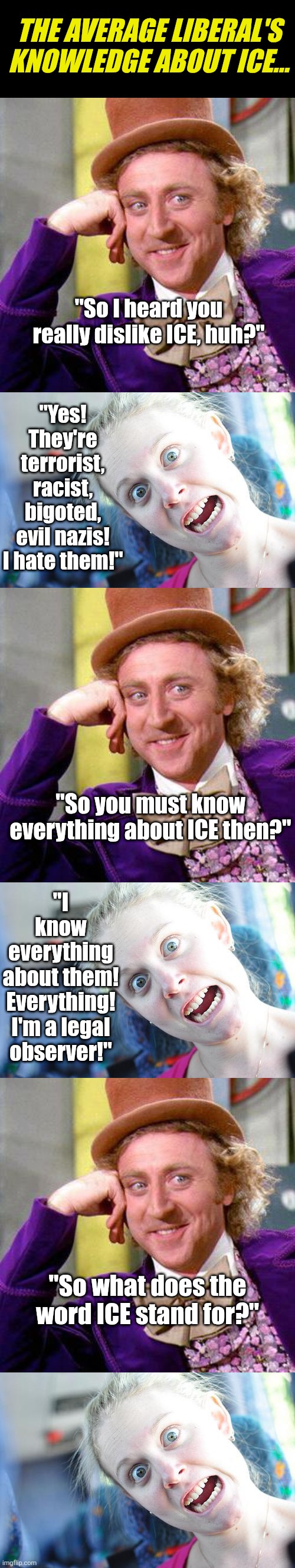 Can I get a show of hands of how many people think the MN protestors know what ICE even means? | THE AVERAGE LIBERAL'S KNOWLEDGE ABOUT ICE... "So I heard you really dislike ICE, huh?"; "Yes! They're terrorist, racist, bigoted, evil nazis! I hate them!"; "So you must know everything about ICE then?"; "I know everything about them! Everything! I'm a legal observer!"; "So what does the word ICE stand for?" | image tagged in minnesota,protesters,liberal logic,stupid people,democrats,reality check | made w/ Imgflip meme maker