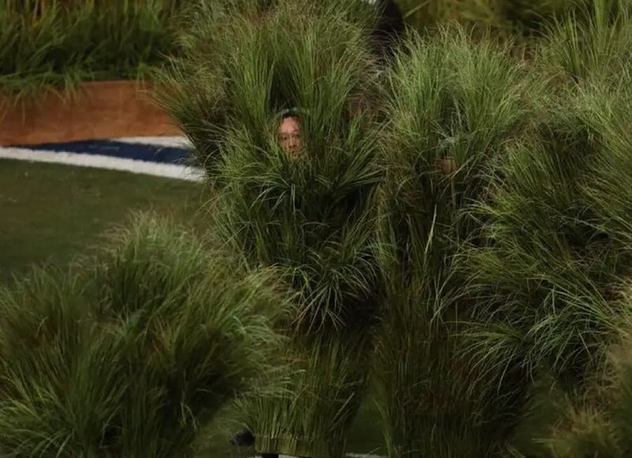 bad bunny grass Blank Meme Template