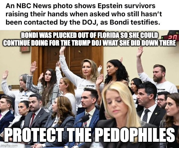 BONDI WAS PLUCKED OUT OF FLORIDA SO SHE COULD CONTINUE DOING FOR THE TRUMP DOJ WHAT SHE DID DOWN THERE; PROTECT THE PEDOPHILES | made w/ Imgflip meme maker