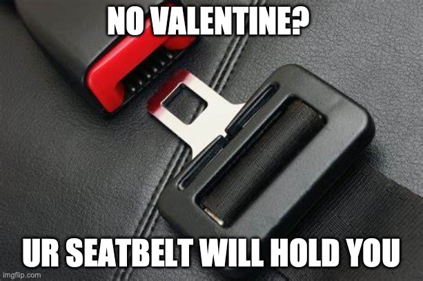seatbelt | NO VALENTINE? UR SEATBELT WILL HOLD YOU | image tagged in seatbelt | made w/ Imgflip meme maker