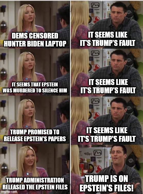 IT SEEMS LIKE IT'S TRUMP'S FAULT DEMS CENSORED HUNTER BIDEN LAPTOP IT SEEMS LIKE IT'S TRUMP'S FAULT IT SEEMS THAT EPSTEIN WAS MURDERED TO SI | image tagged in phoebe joey | made w/ Imgflip meme maker