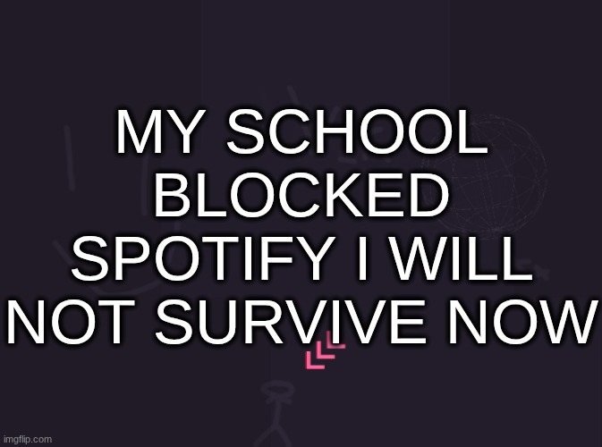 vik's image | MY SCHOOL BLOCKED SPOTIFY I WILL NOT SURVIVE NOW | image tagged in vik's image | made w/ Imgflip meme maker