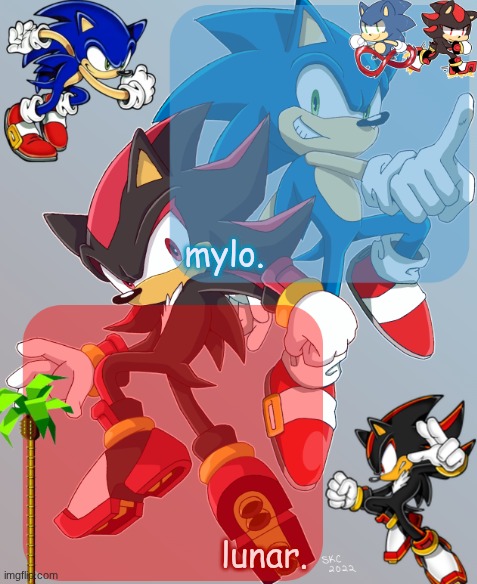 shared sonic and shadow temp | image tagged in shared sonic and shadow temp | made w/ Imgflip meme maker