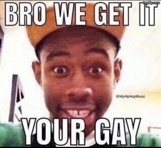 BRO WE GET IT YOU'RE GAY | image tagged in bro we get it you're gay | made w/ Imgflip meme maker