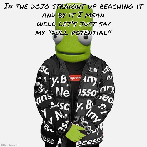 epilektoi drip | In the dojo straight up reaching it
and by it I mean
well let's just say
my "full potential" | image tagged in epilektoi drip | made w/ Imgflip meme maker