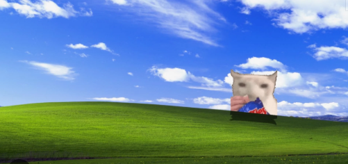 Chip cat in memeland Blank Meme Template