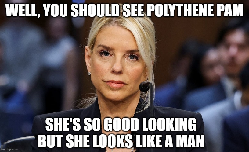 Polythene Pam Bondi | WELL, YOU SHOULD SEE POLYTHENE PAM; SHE'S SO GOOD LOOKING BUT SHE LOOKS LIKE A MAN | image tagged in pam bondi,polythene pam,the beatles,corrupt attorney general | made w/ Imgflip meme maker