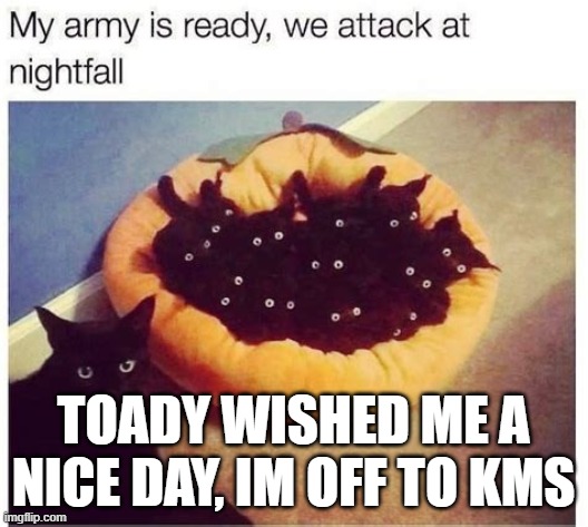 https://imgflip.com/i/ajw53y?nerp=1770845762#com39218791 | TOADY WISHED ME A NICE DAY, IM OFF TO KMS | image tagged in grimnemo's army | made w/ Imgflip meme maker