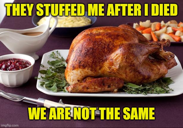 THEY STUFFED ME AFTER I DIED WE ARE NOT THE SAME | image tagged in turkey dinner | made w/ Imgflip meme maker