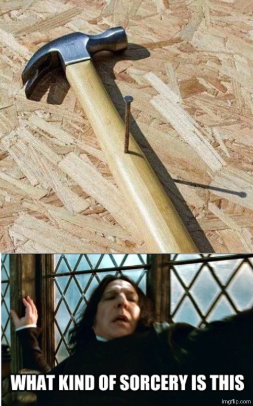Nailed the hammer boss | image tagged in what kind of sorcery is this,nailed,hammer,construction,memes,you had one job | made w/ Imgflip meme maker