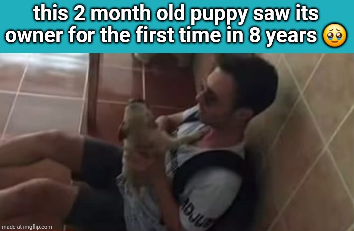 so cute | this 2 month old puppy saw its owner for the first time in 8 years 🥹 | made w/ Imgflip meme maker