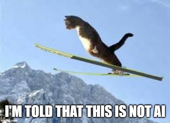 I've been told that this picture of a cat ski jumping is not AI. | I'M TOLD THAT THIS IS NOT AI | image tagged in cat,kittens,funny,humor,olympics,skiing | made w/ Imgflip meme maker