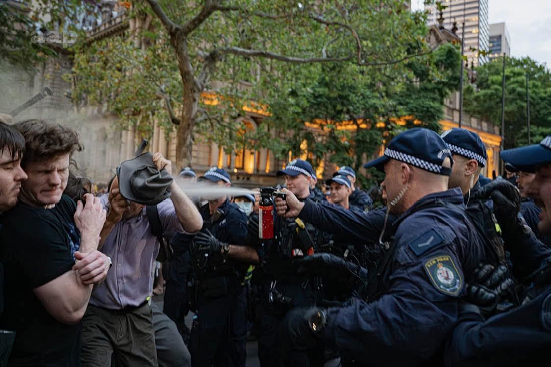 sydney protesters beaten arrested Blank Meme Template