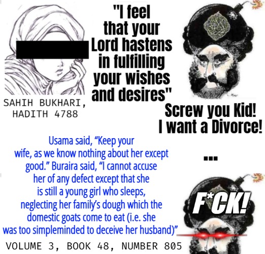 My new segment: Proph Muhammad In Trouble | ... Usama said, “Keep your wife, as we know nothing about her except good.” Buraira said, “I cannot accuse her of any defect except that she is still a young girl who sleeps, neglecting her family’s dough which the domestic goats come to eat (i.e. she was too simpleminded to deceive her husband)”; VOLUME 3, BOOK 48, NUMBER 805 | image tagged in funny,islam,offensive | made w/ Imgflip meme maker