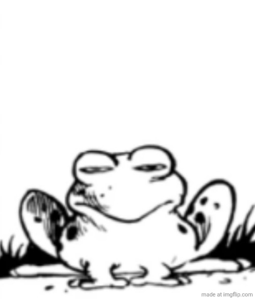 The Ever Judgemental Frog | image tagged in the ever judging frog | made w/ Imgflip meme maker
