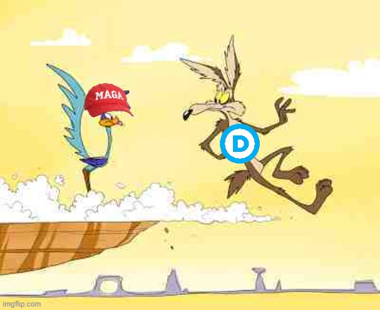 Wile E. Coyote roadrunner | image tagged in wile e coyote roadrunner | made w/ Imgflip meme maker