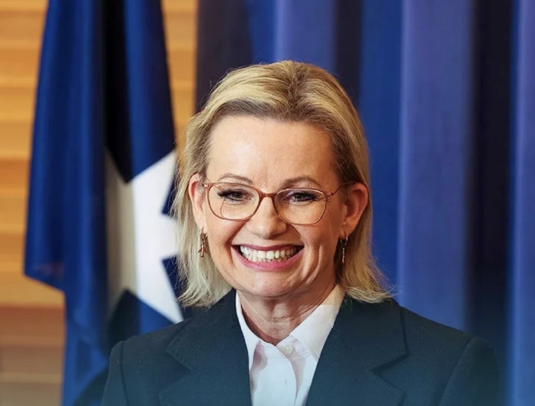 Sussan Lee everything is fine Blank Meme Template