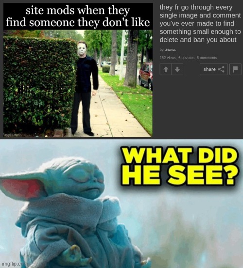 image tagged in baby yoda what did he see | made w/ Imgflip meme maker