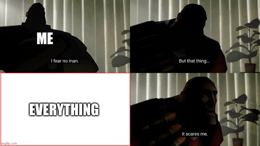 jk I don't know what I am afraid of | ME; EVERYTHING | image tagged in tf2 heavy i fear no man,tf2 | made w/ Imgflip meme maker