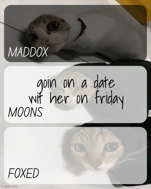 tehe its a half day too | goin on a date wit her on friday | image tagged in maddox moons n foxed kitty temp | made w/ Imgflip meme maker