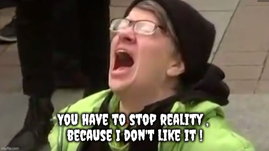 Screaming Liberal  | You have to stop reality , 
because I don't like it ! | image tagged in screaming liberal | made w/ Imgflip meme maker