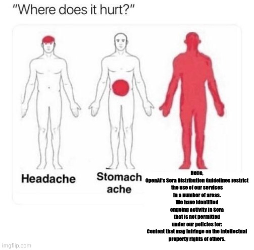 Sora meme | Hello,

OpenAI's Sora Distribution Guidelines restrict the use of our services in a number of areas. We have identified ongoing activity in Sora that is not permitted under our policies for:

Content that may infringe on the intellectual property rights of others. | image tagged in where does it hurt | made w/ Imgflip meme maker