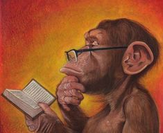 Reading Monkey Blank Meme Template