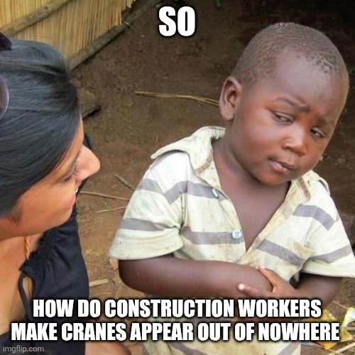 Crane | SO; HOW DO CONSTRUCTION WORKERS MAKE CRANES APPEAR OUT OF NOWHERE | image tagged in memes,third world skeptical kid | made w/ Imgflip meme maker