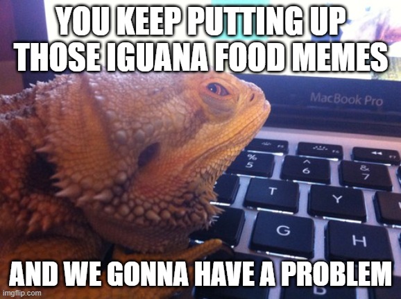 I guana smack you | YOU KEEP PUTTING UP THOSE IGUANA FOOD MEMES; AND WE GONNA HAVE A PROBLEM | image tagged in iguana coder,iguana,florida man,meanwhile in florida | made w/ Imgflip meme maker