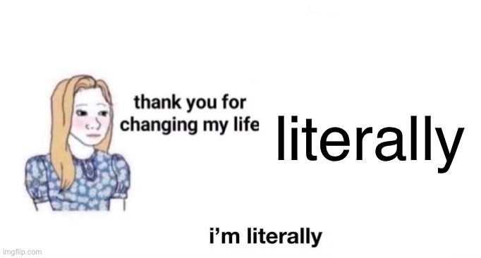 literally | literally | image tagged in thank you for changing my life,msmg | made w/ Imgflip meme maker