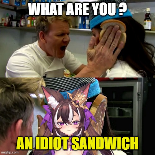 Rima getting the Ramsey idiot sandwich | WHAT ARE YOU ? AN IDIOT SANDWICH | image tagged in gordon ramsay idiot sandwich | made w/ Imgflip meme maker