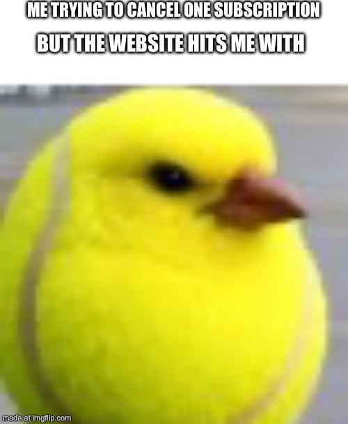 ME TRYING TO CANCEL ONE SUBSCRIPTION BUT THE WEBSITE HITS ME WITH | made w/ Imgflip meme maker