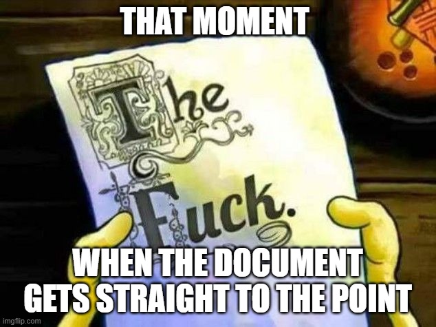 document | THAT MOMENT; WHEN THE DOCUMENT GETS STRAIGHT TO THE POINT | image tagged in memes | made w/ Imgflip meme maker