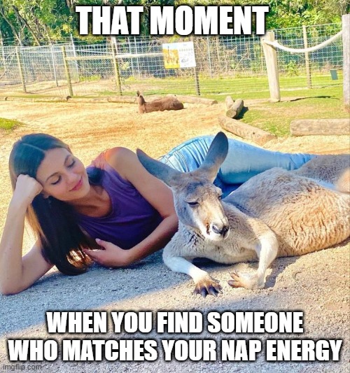 that moment! | THAT MOMENT; WHEN YOU FIND SOMEONE WHO MATCHES YOUR NAP ENERGY | image tagged in memes | made w/ Imgflip meme maker