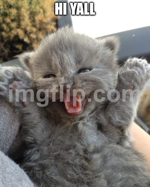 Hi yall | HI Y’ALL | image tagged in yay kitty | made w/ Imgflip meme maker