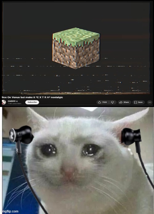 funny cat meme... | image tagged in crying cat,memes,fun,real men cry to this song fr | made w/ Imgflip meme maker