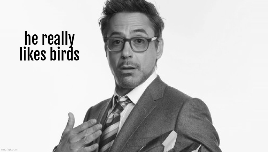 Robert Downey Jr's Comments | he really likes birds | image tagged in robert downey jr's comments | made w/ Imgflip meme maker