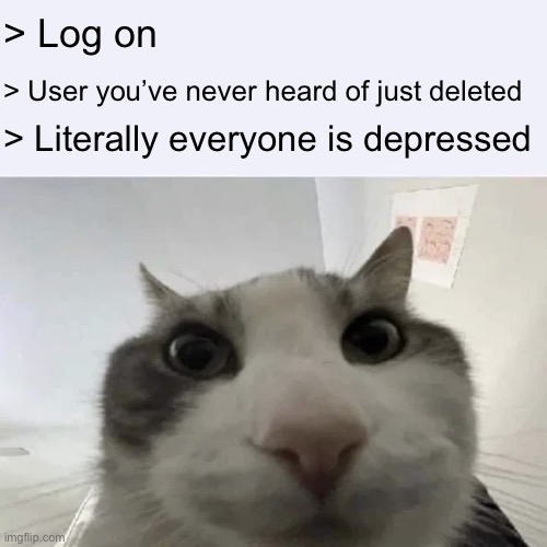 green text cat | > Log on; > User you’ve never heard of just deleted; > Literally everyone is depressed | image tagged in green text cat | made w/ Imgflip meme maker