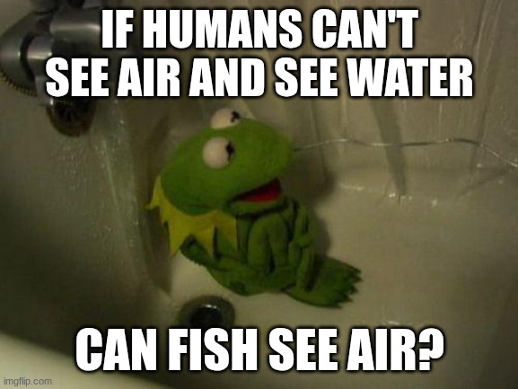 shower thought | IF HUMANS CAN'T SEE AIR AND SEE WATER; CAN FISH SEE AIR? | image tagged in depressed kermit | made w/ Imgflip meme maker