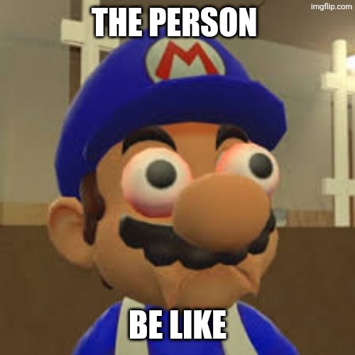 Smg4 Oh Shit | THE PERSON BE LIKE | image tagged in smg4 oh shit | made w/ Imgflip meme maker